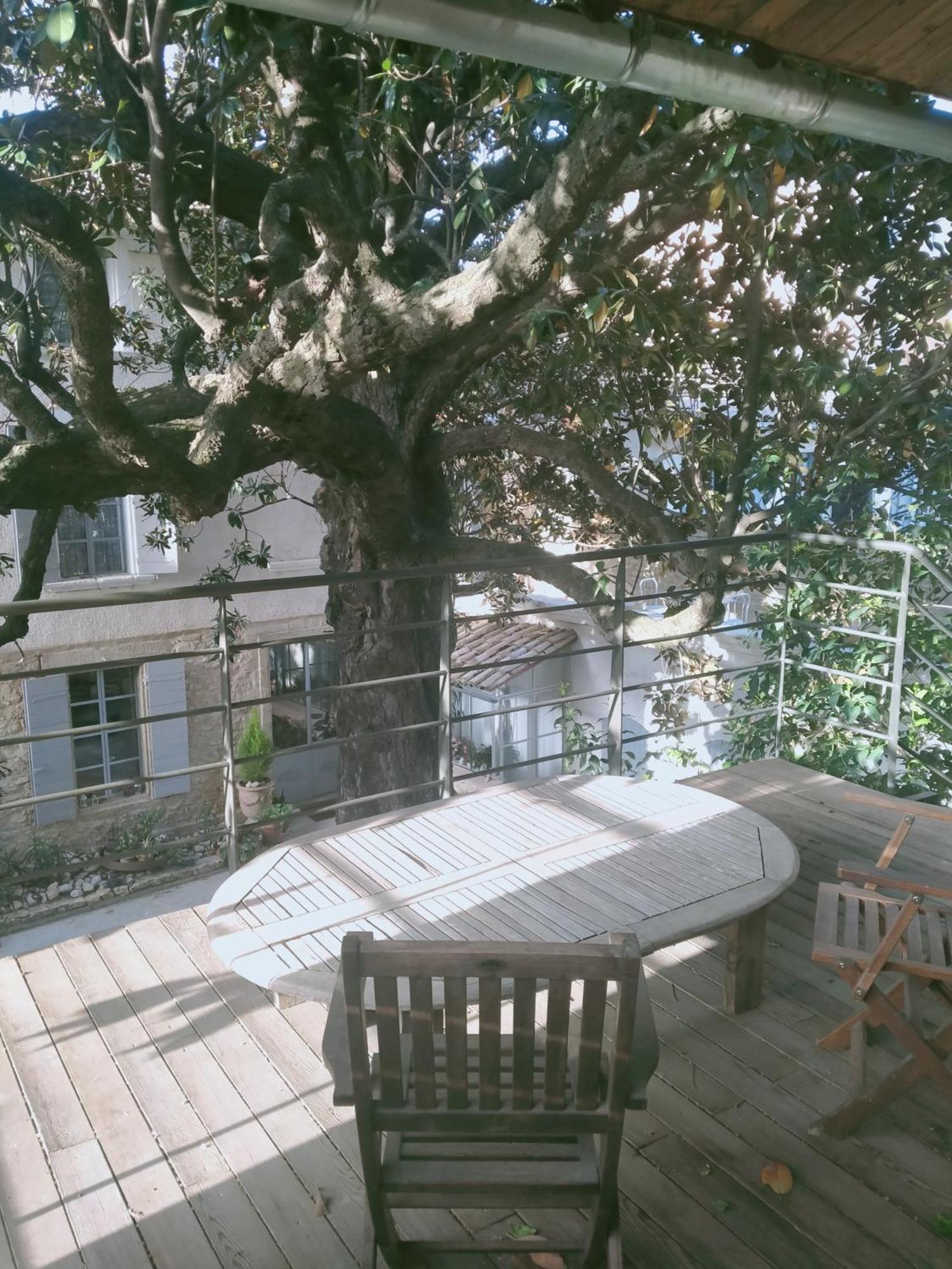 L'Aedes Bed & Breakfast Orange  Exterior foto